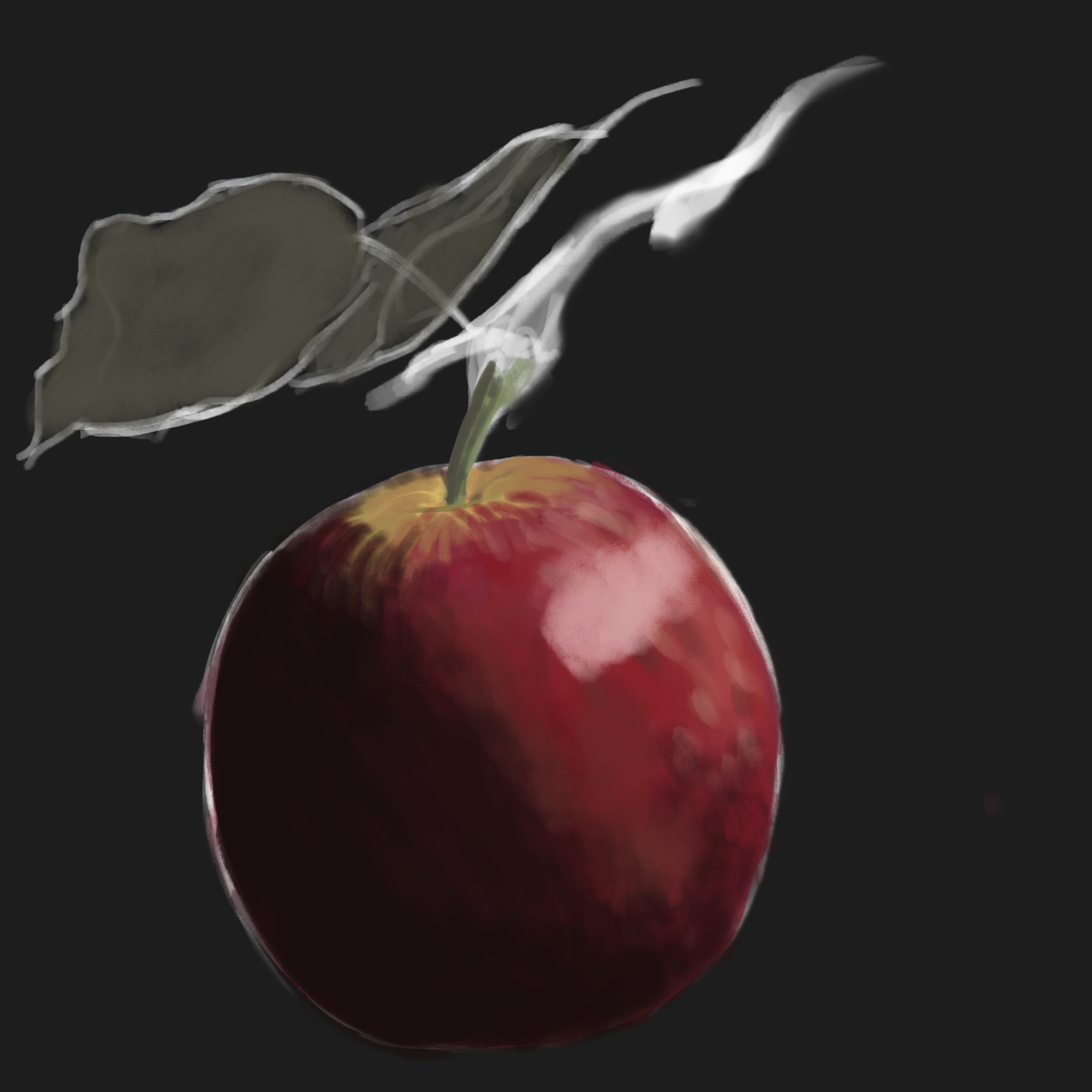 an apple with unfinished leaves