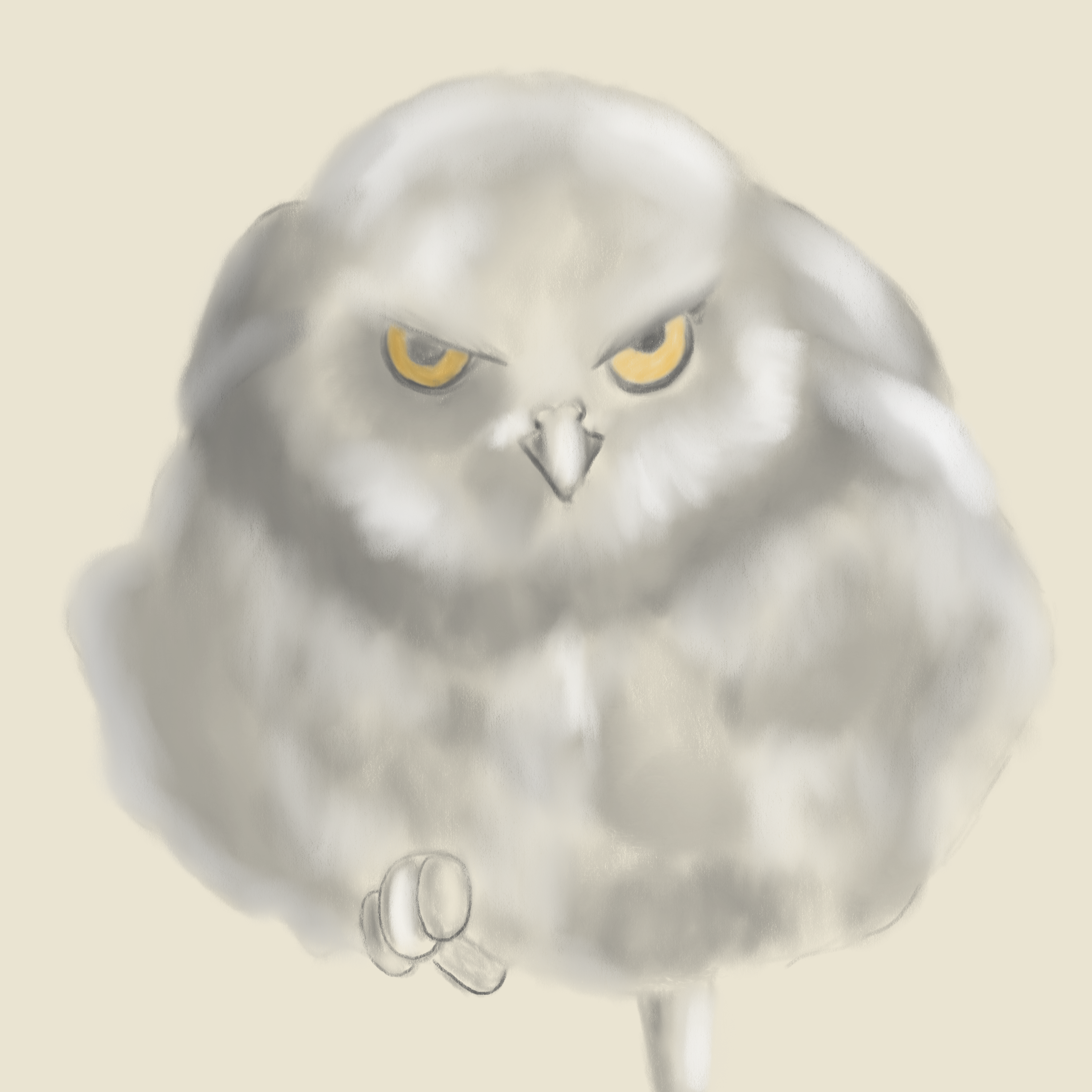 an owl