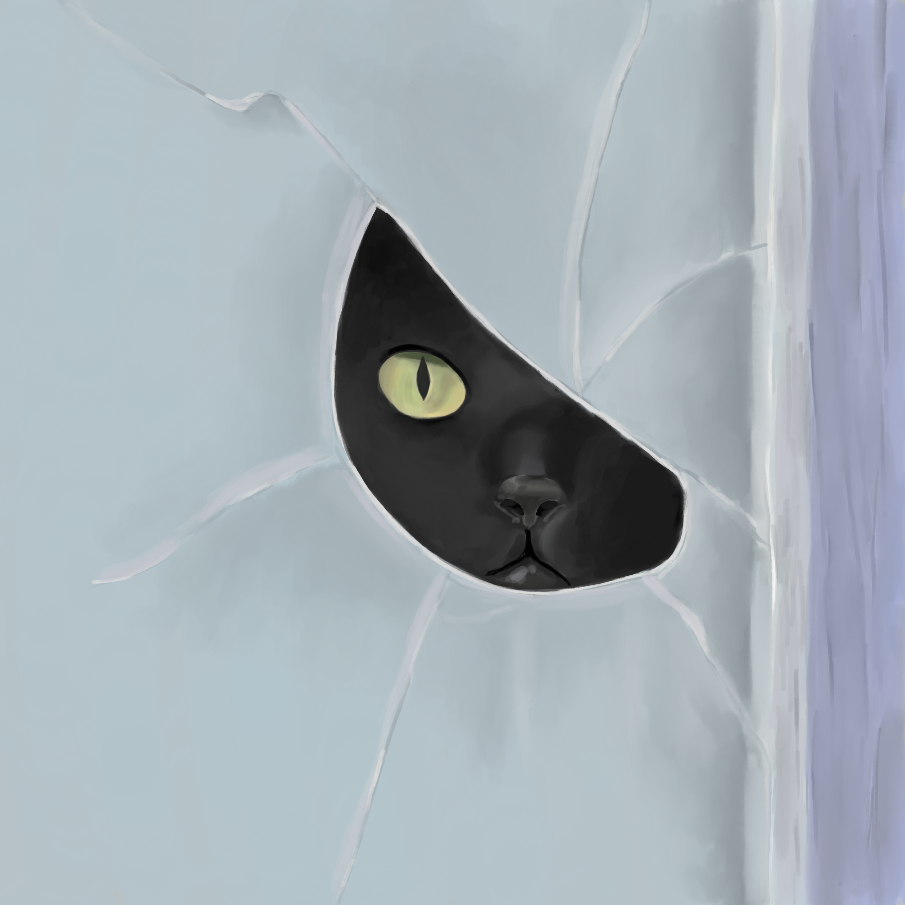 a black cat looking through a broken window